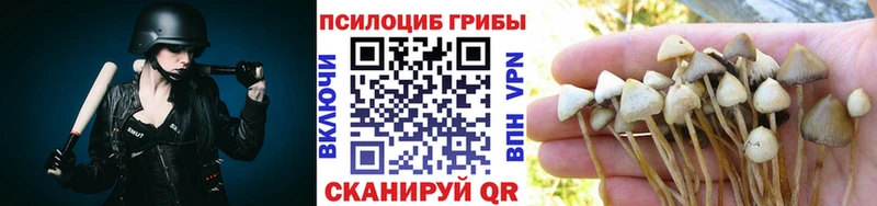 Псилоцибиновые грибы MAGIC MUSHROOMS  Купить закладки  Белорецк 